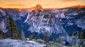 Ansel Adams birthday