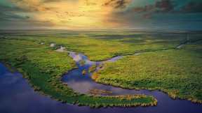 Everglades National Park, Florida, United States
