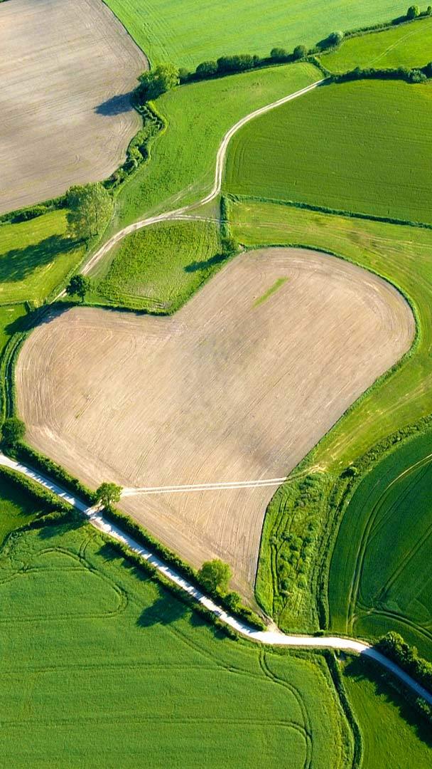 HD Mobile Wallpaper: Aerial view of a heart-shaped field in Trittau, Germany