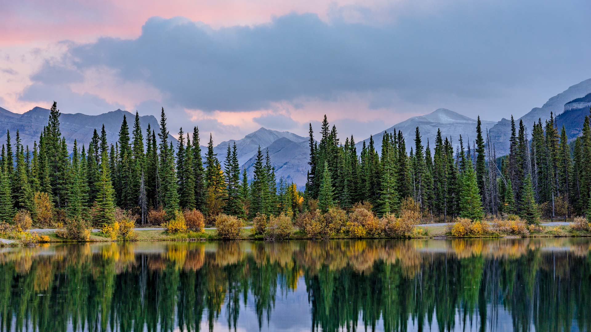 Forgetmenot Pond, Kananaskis Country, Alberta