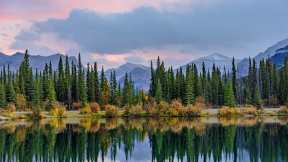 Forgetmenot Pond, Kananaskis Country, Alberta
