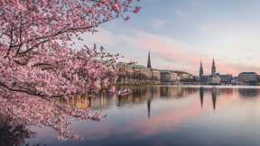 Alsterufer, Hamburg