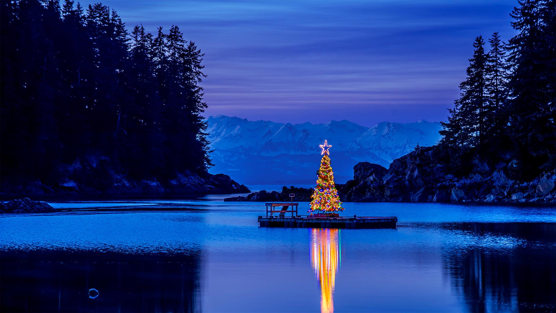アラスカ アマルガ港のクリスマスツリー