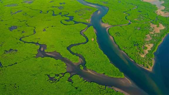 World Rivers Day