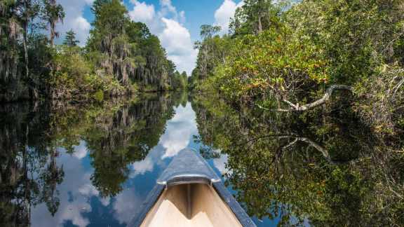 Serene waters on a trembling earth