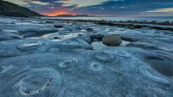 A prehistoric pavement