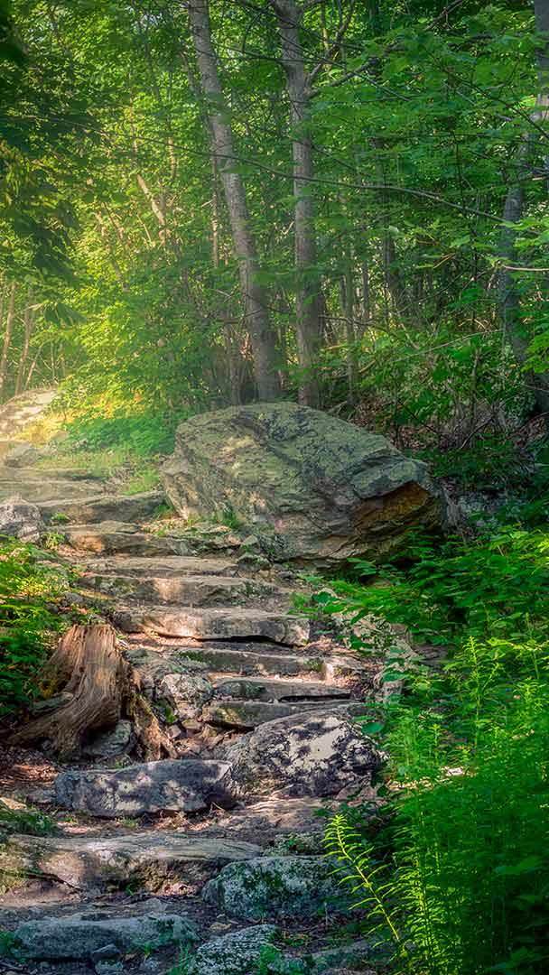 appalachian trail wallpaper