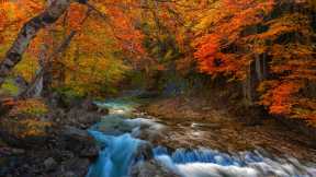 Equinoccio de otoño