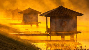 Entre névoas e pôr do sol