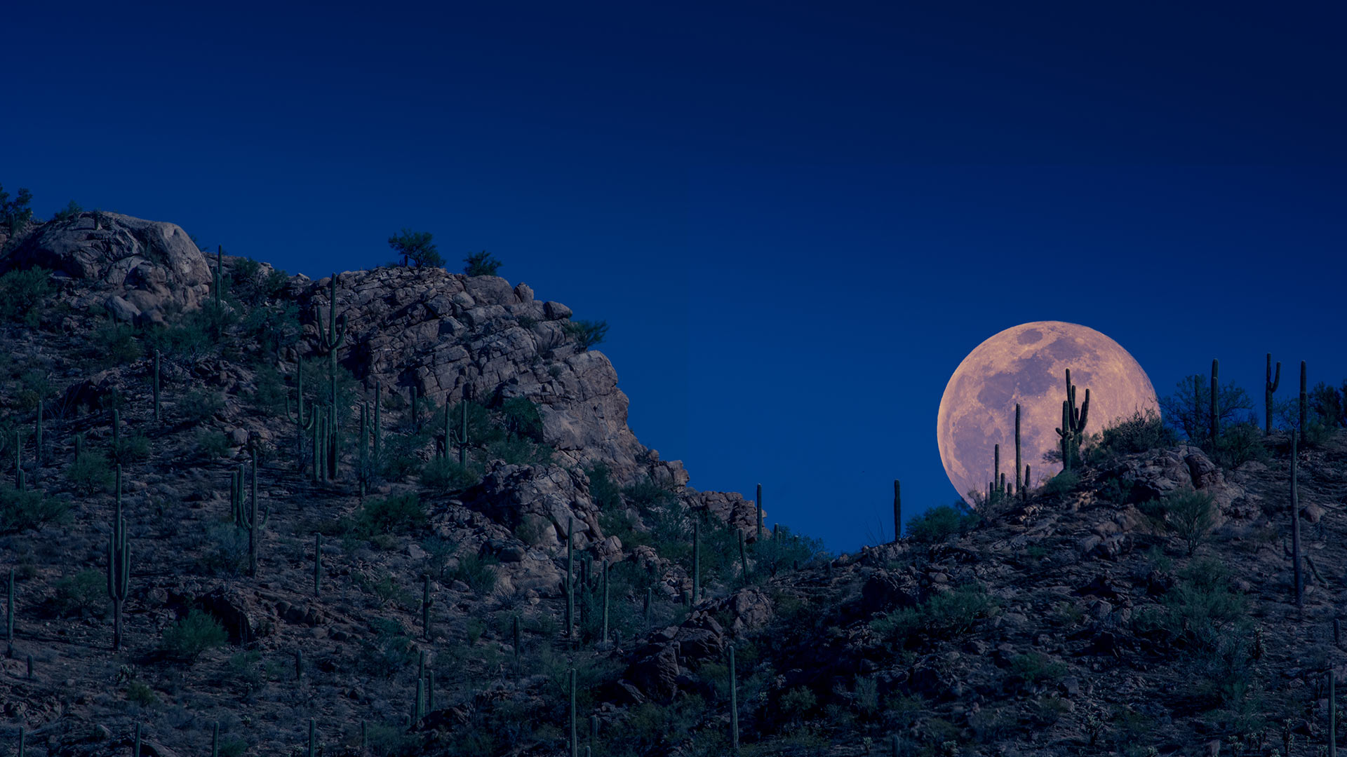 亚利桑那州空中的粉月亮