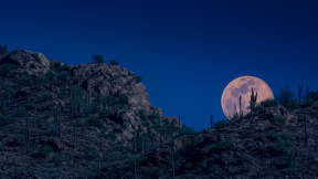 亚利桑那州空中的粉月亮