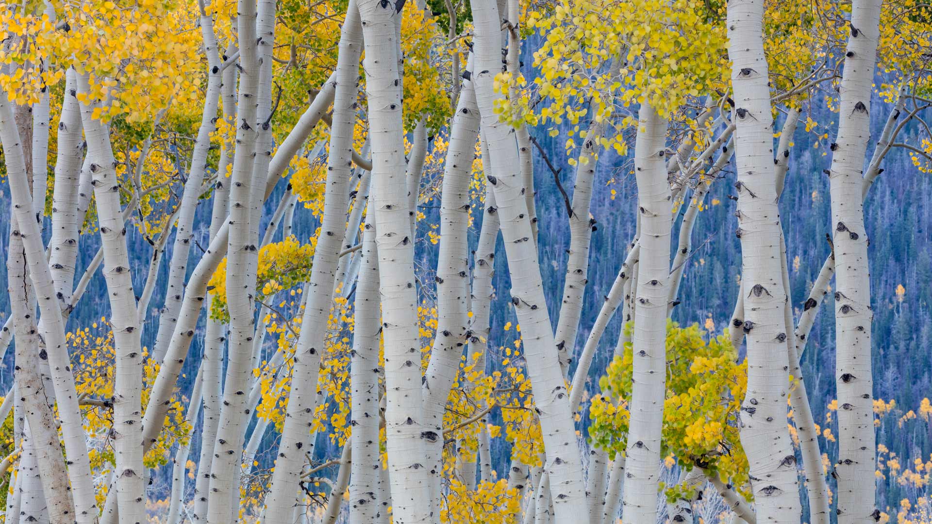 Autumn equinox