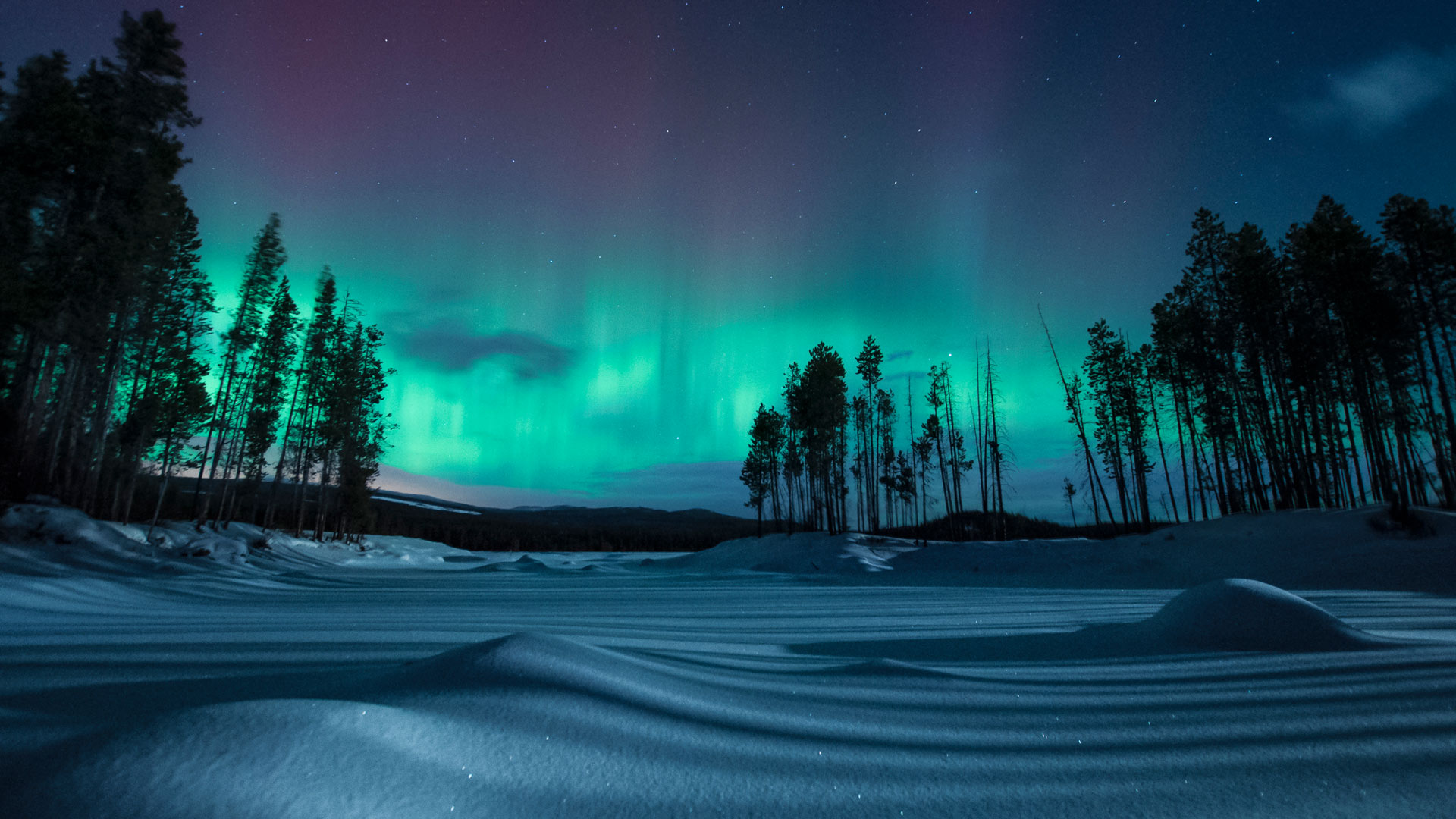 Northern Lights