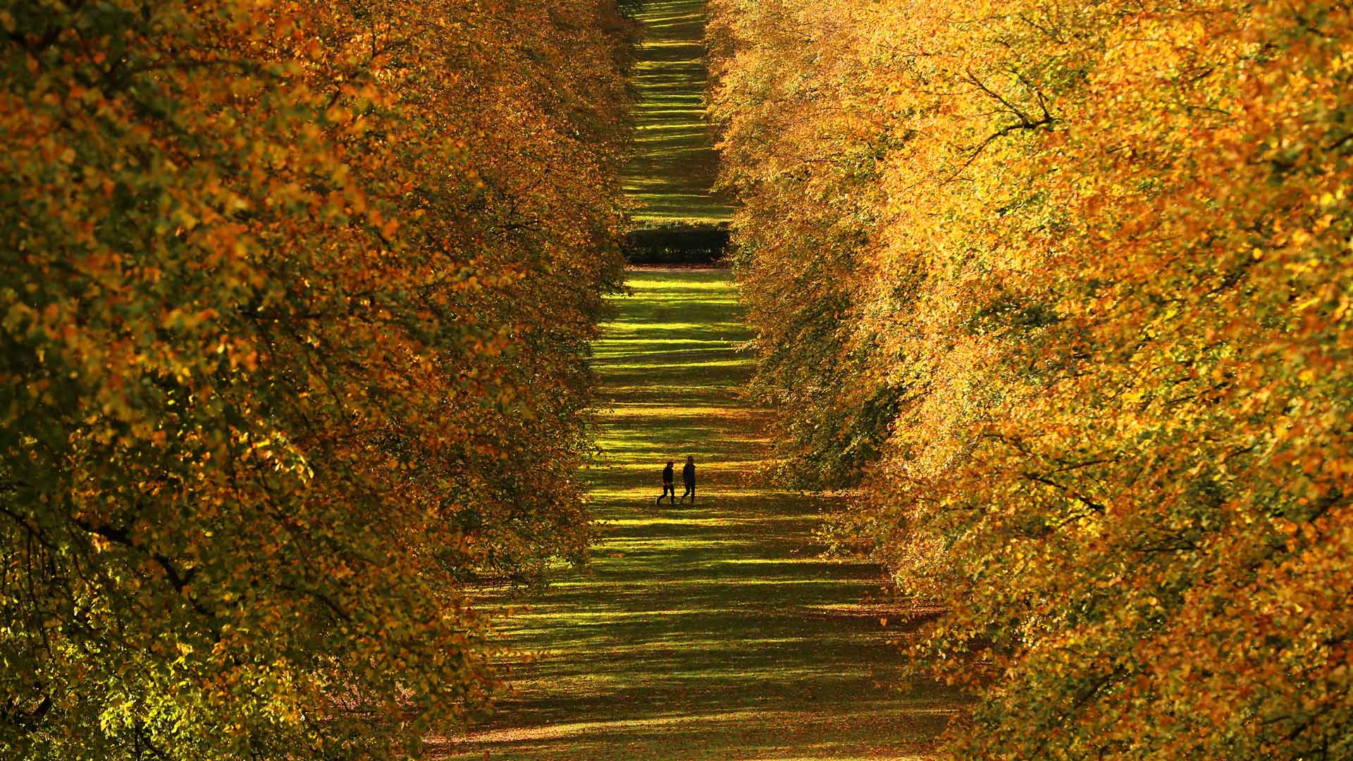 Stormont Estate, Northern Ireland