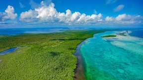 Das zweitgrößte Riffsystem der Erde