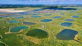 La baie dAuthie, Somme