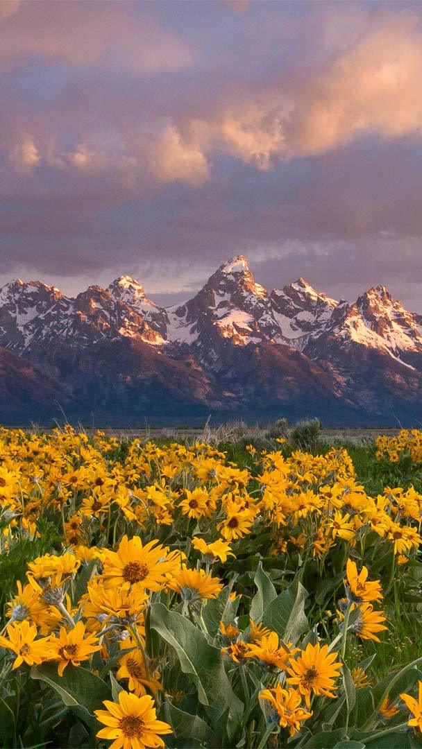 Grand Teton National Park Wallpaper 4K USA Glacier mountains 3677