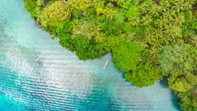 International Day of the Tropics