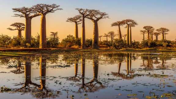 International Day for Biological Diversity
