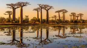 International Day for Biological Diversity