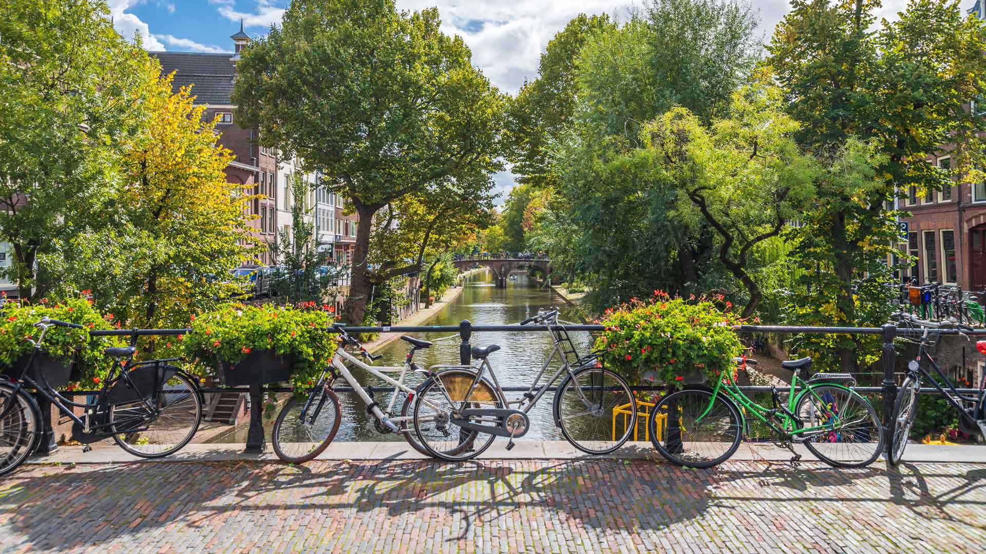 World Bicycle Day