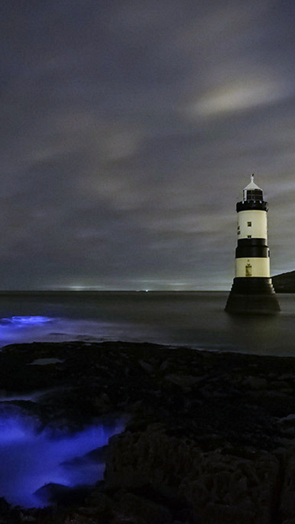 Bioluminescence at Trwyn Du Lighthouse in Wales