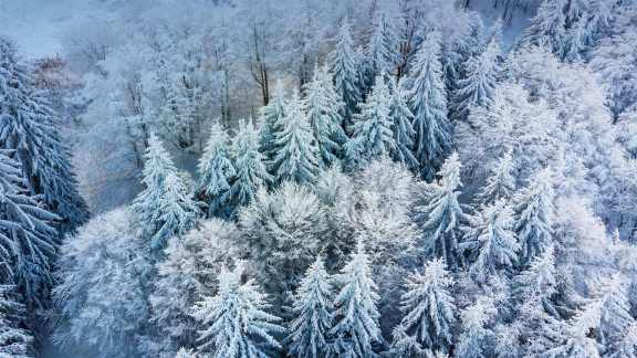 Un paesaggio invernale con i fiocchi (di neve)