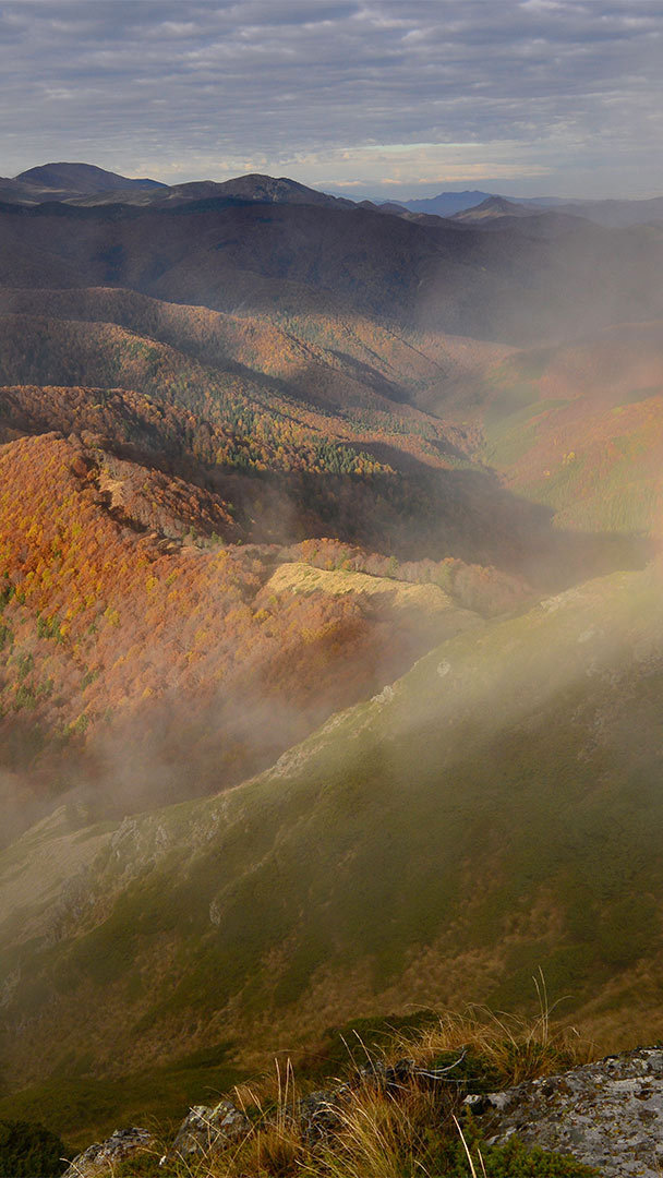 Brocken spectre in Central Balkan National Park, Bulgaria