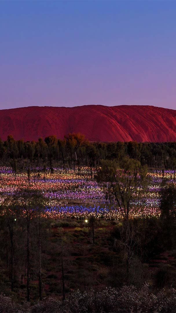 Illuminated Uluru