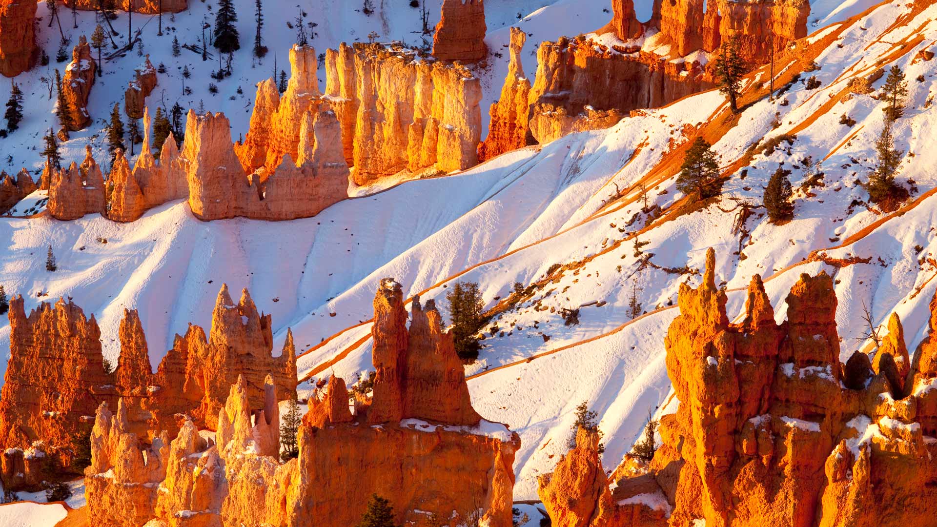 Bing image: Bryce Canyon National Park, Utah, United States - Bing ...