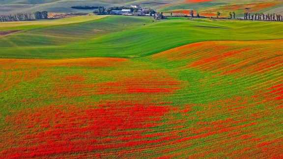 The rolling hills of Moravia