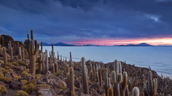 Isla del Pescado on the Salar de Uyuni in Bolivia