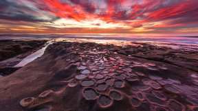Tide pools in La Jolla, California