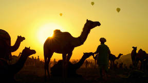 Balloons and camels are two ways to catch a ride here