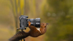 Im ready for my close-up, Mr. DeSquirrel