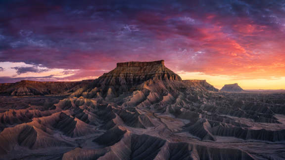 Une explosion de couleurs saisissante