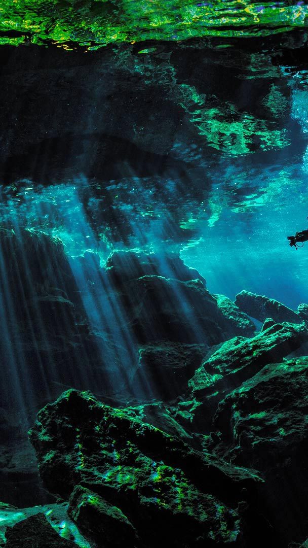 Cenote yucatan mexico HD wallpapers | Pxfuel