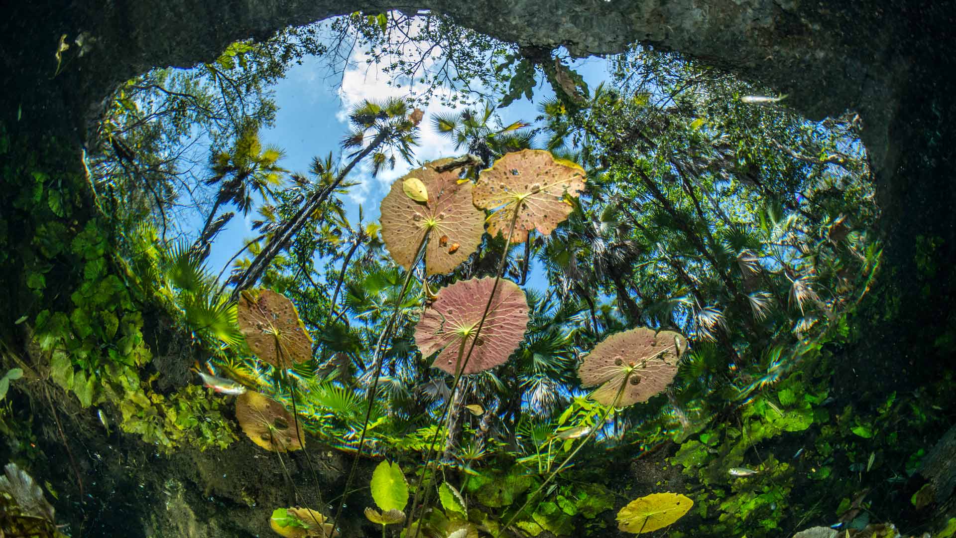 Bing HD Wallpaper Mar 22, 2025: World Water Day - Bing Wallpaper Gallery