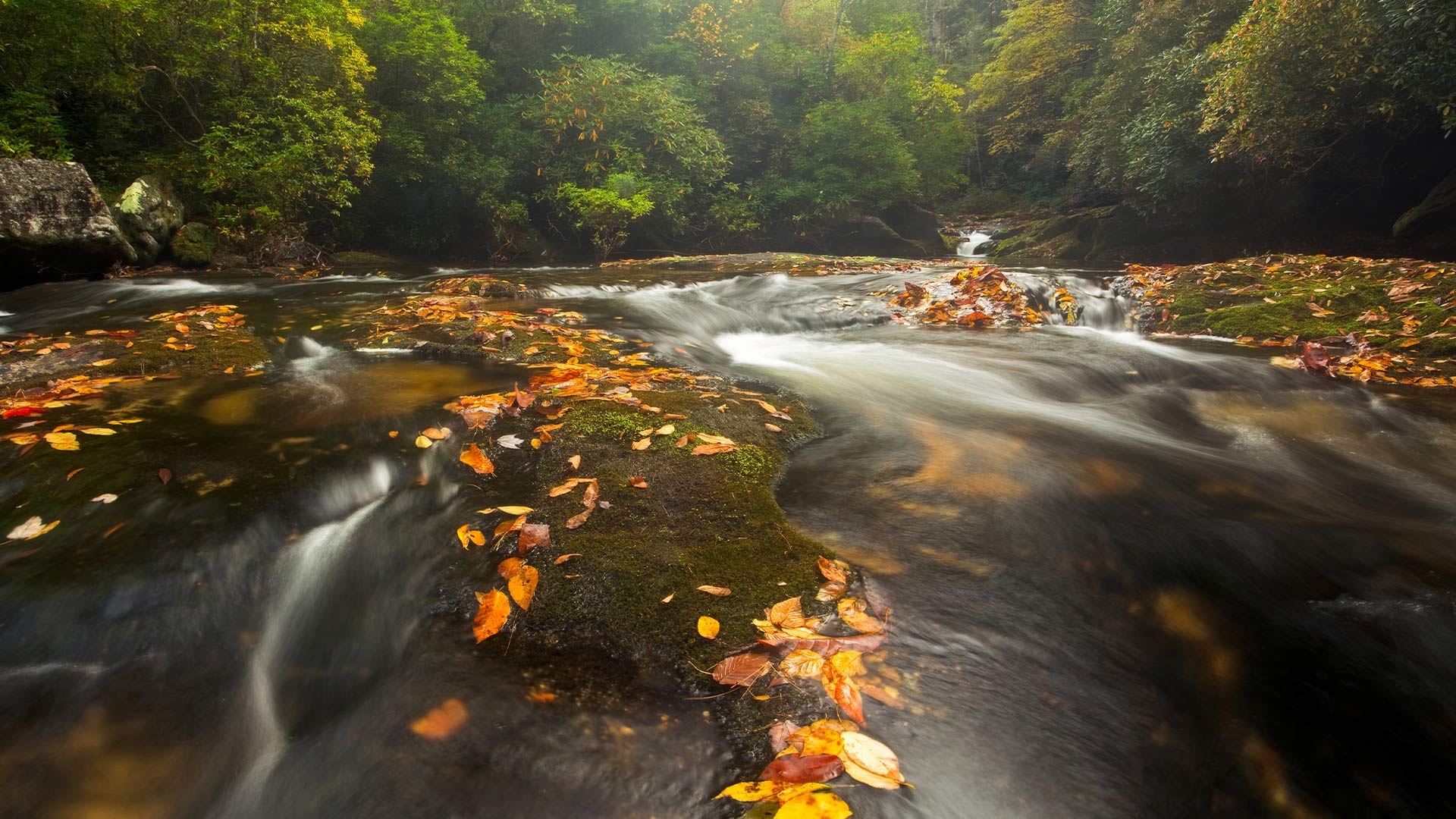 Chattooga River in the Appalachian Mountains, North Carolina, USA