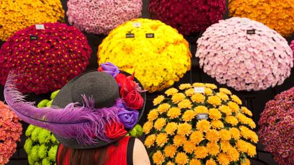 RHS Chelsea Flower Show