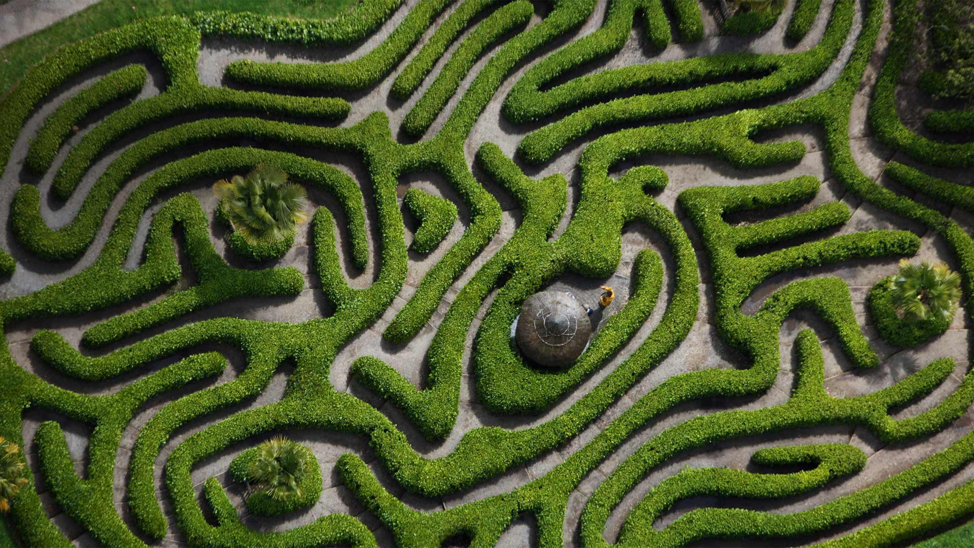 garden maze wallpaper