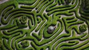 Glendurgan Garden hedge maze is 186 years old