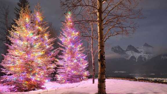 Merry Christmas!