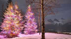 Merry Christmas!