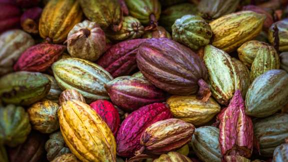 Le fruit préféré des amoureux du chocolat