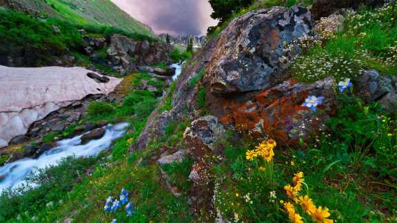 High alpine color in Colorado