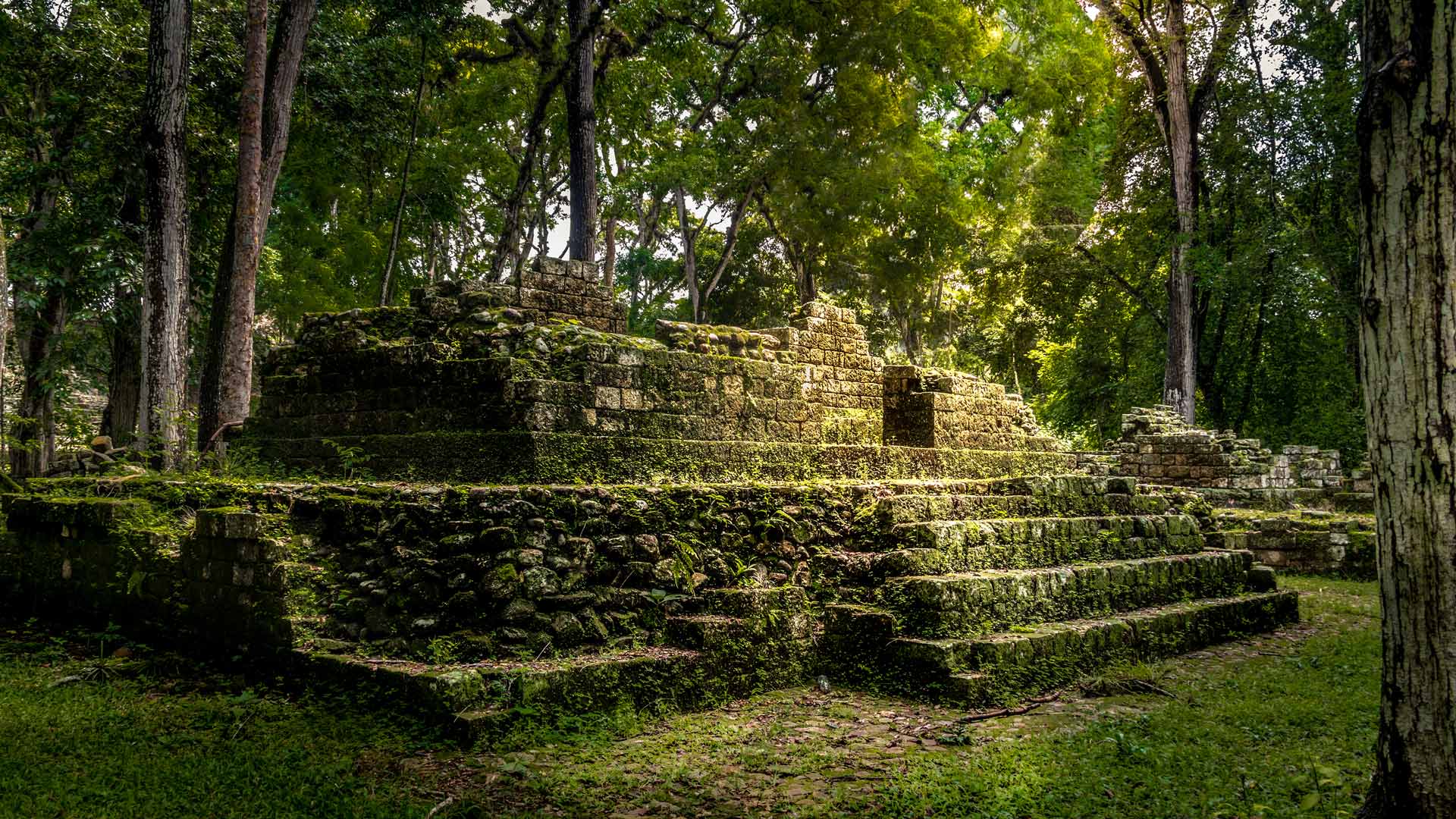 Maya-Stätte von Copán, Honduras