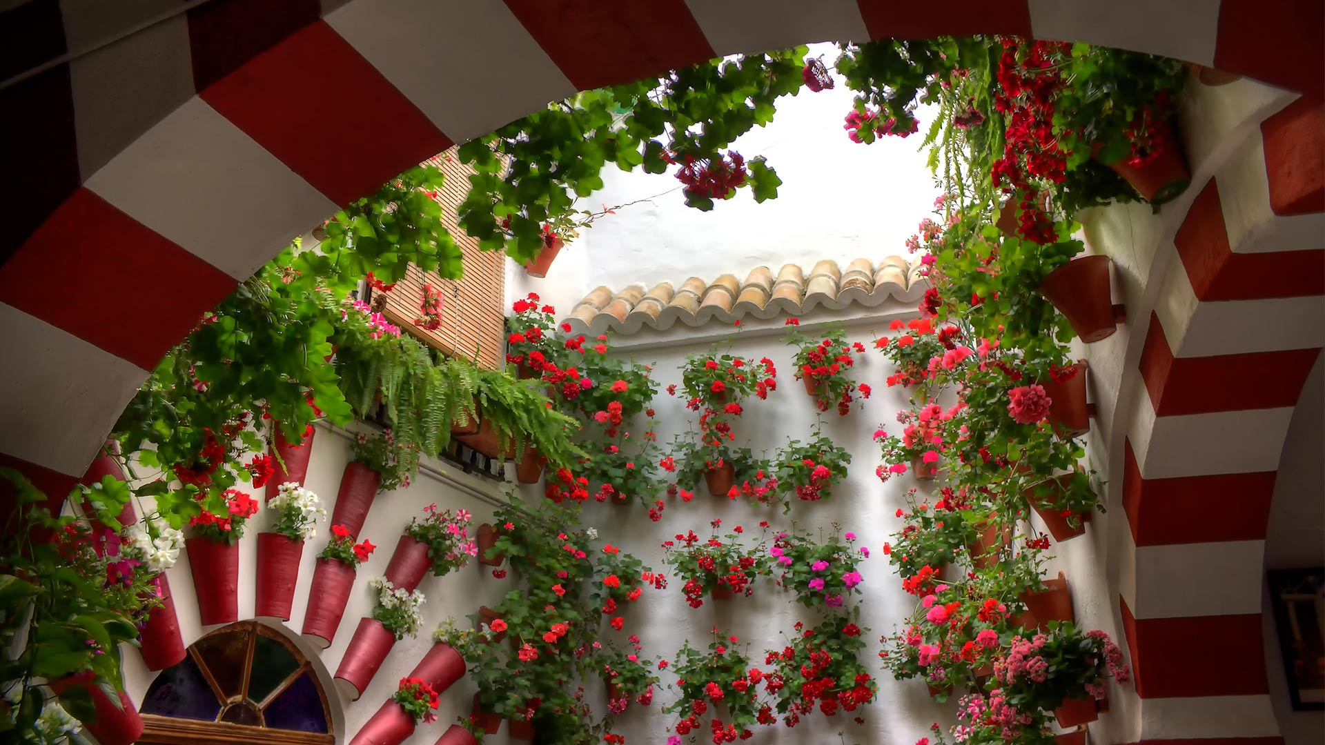 Festival de los Patios Cordobeses
