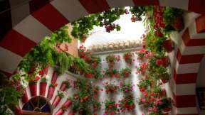 Festival de los Patios Cordobeses