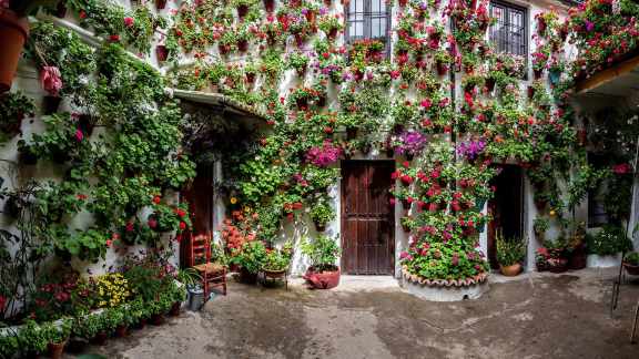 Festival Internacional de las Flores de C&oacute;rdoba